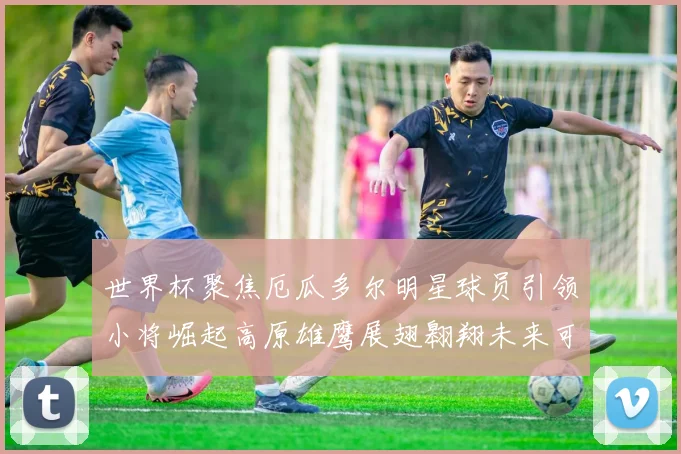 世界杯聚焦厄瓜多尔明星球员引领小将崛起高原雄鹰展翅翱翔未来可期