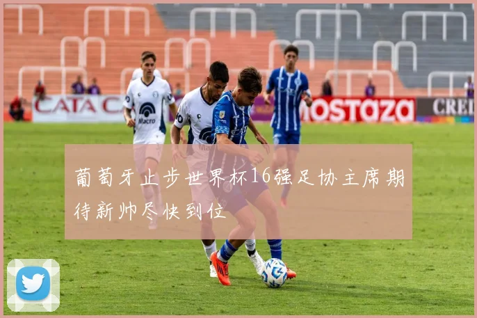 葡萄牙止步世界杯16强足协主席期待新帅尽快到位